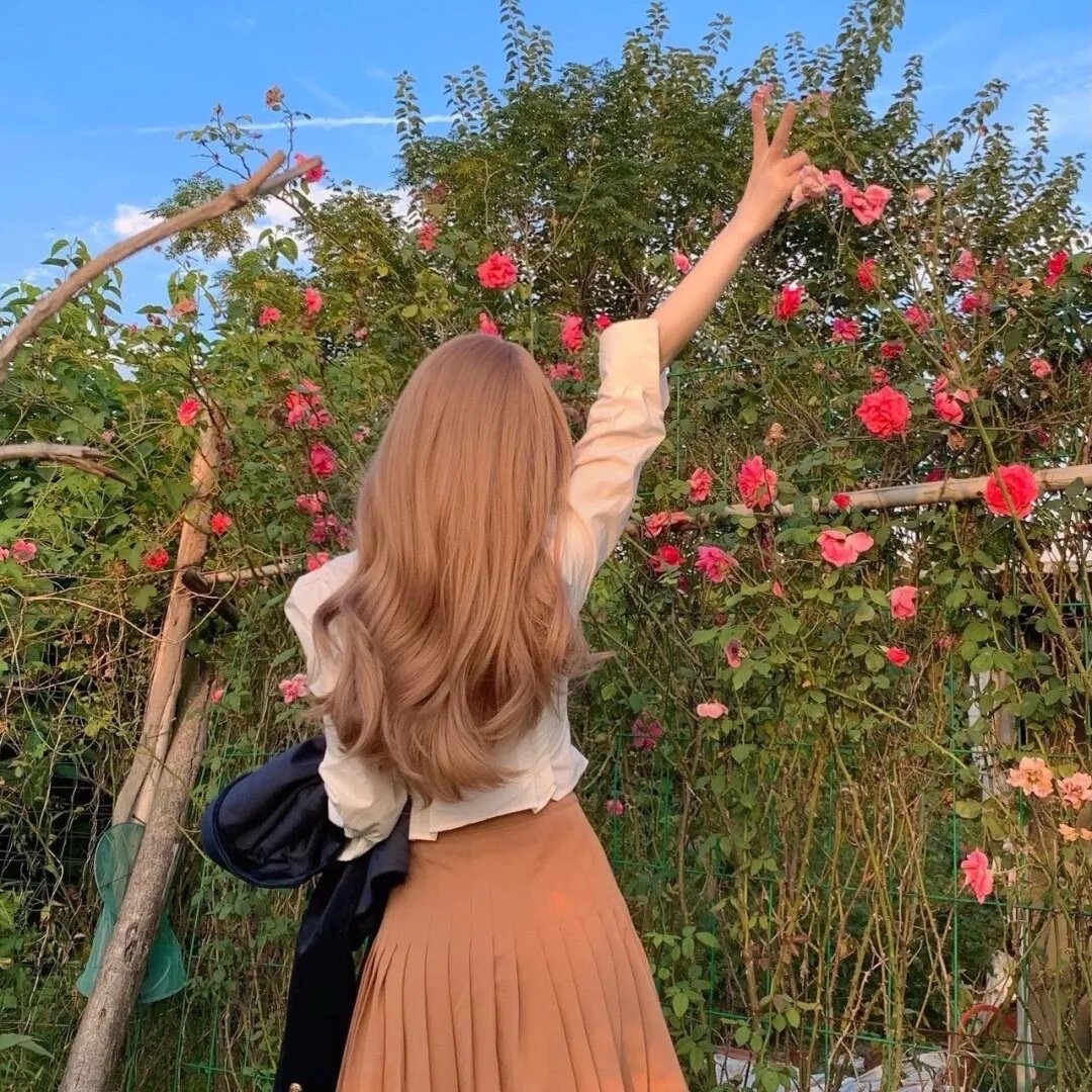 巴赫曼:沙漠之旅